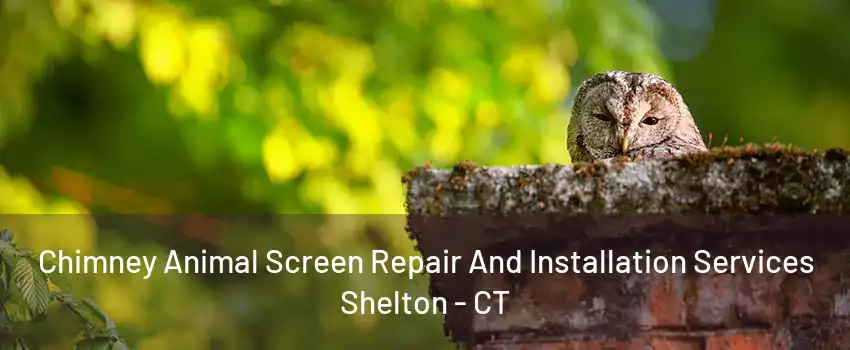 Chimney Animal Screen Repair And Installation Services Shelton - CT