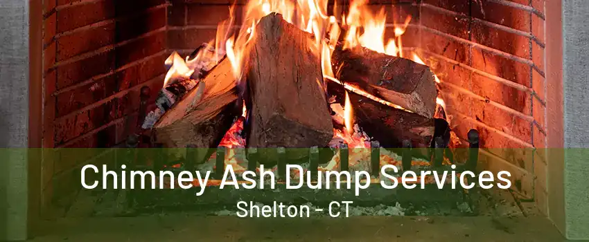 Chimney Ash Dump Services Shelton - CT