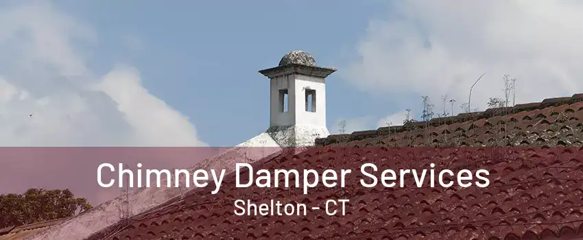 Chimney Damper Services Shelton - CT