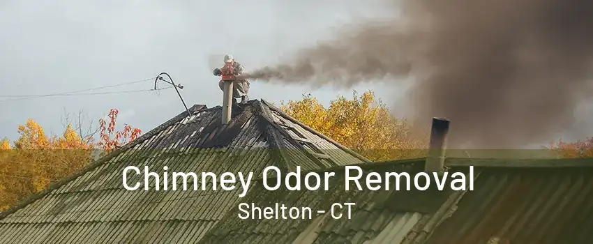 Chimney Odor Removal Shelton - CT