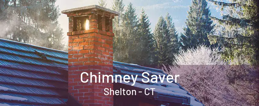 Chimney Saver Shelton - CT