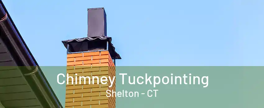 Chimney Tuckpointing Shelton - CT