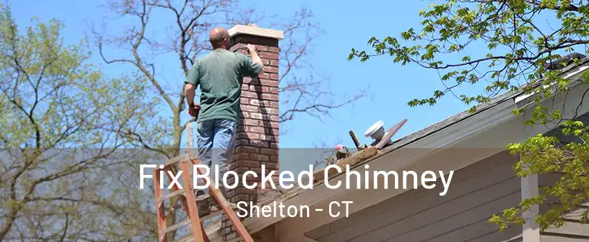 Fix Blocked Chimney Shelton - CT