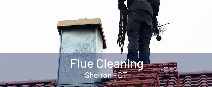 Flue Cleaning Shelton - CT