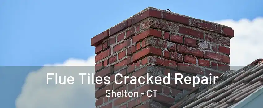 Flue Tiles Cracked Repair Shelton - CT