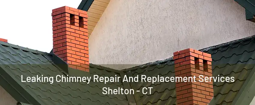 Leaking Chimney Repair And Replacement Services Shelton - CT