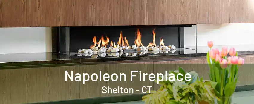 Napoleon Fireplace Shelton - CT