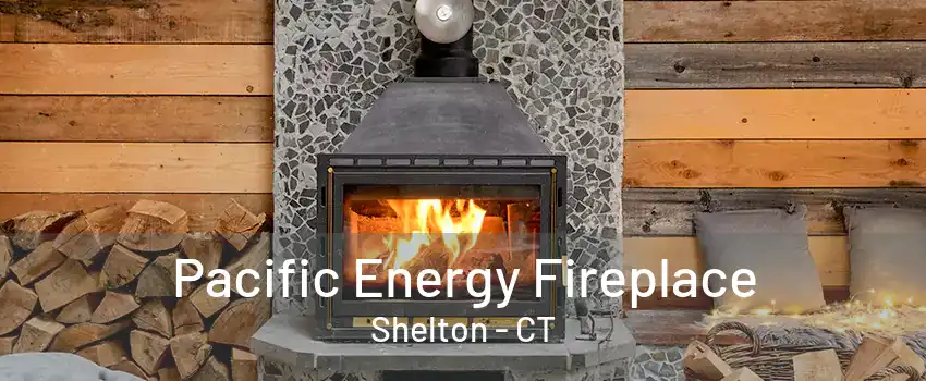 Pacific Energy Fireplace Shelton - CT